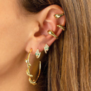 Light Luxury Snake Shaped Earring Set