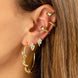 Light Luxury Snake Shaped Earring Set